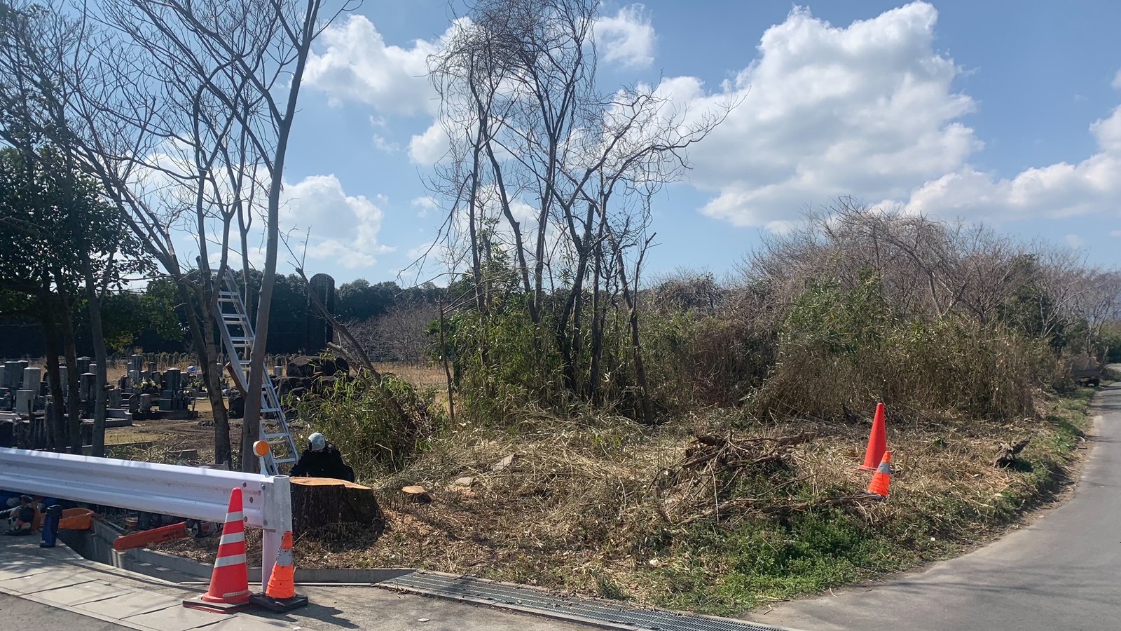 鈴鹿市 スギ 伐採後 道路沿いの現場 剪定屋空