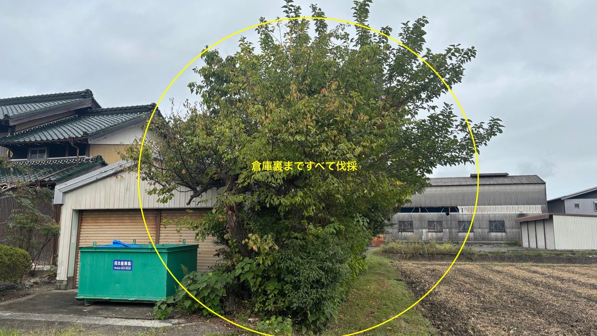 東員町 畑沿いの支障木 伐採範囲 剪定屋空