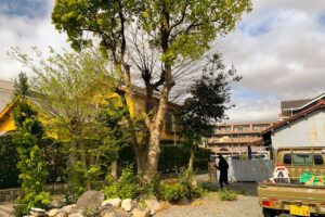 四日市市 セットバック 支障木 抜根前 剪定屋空
