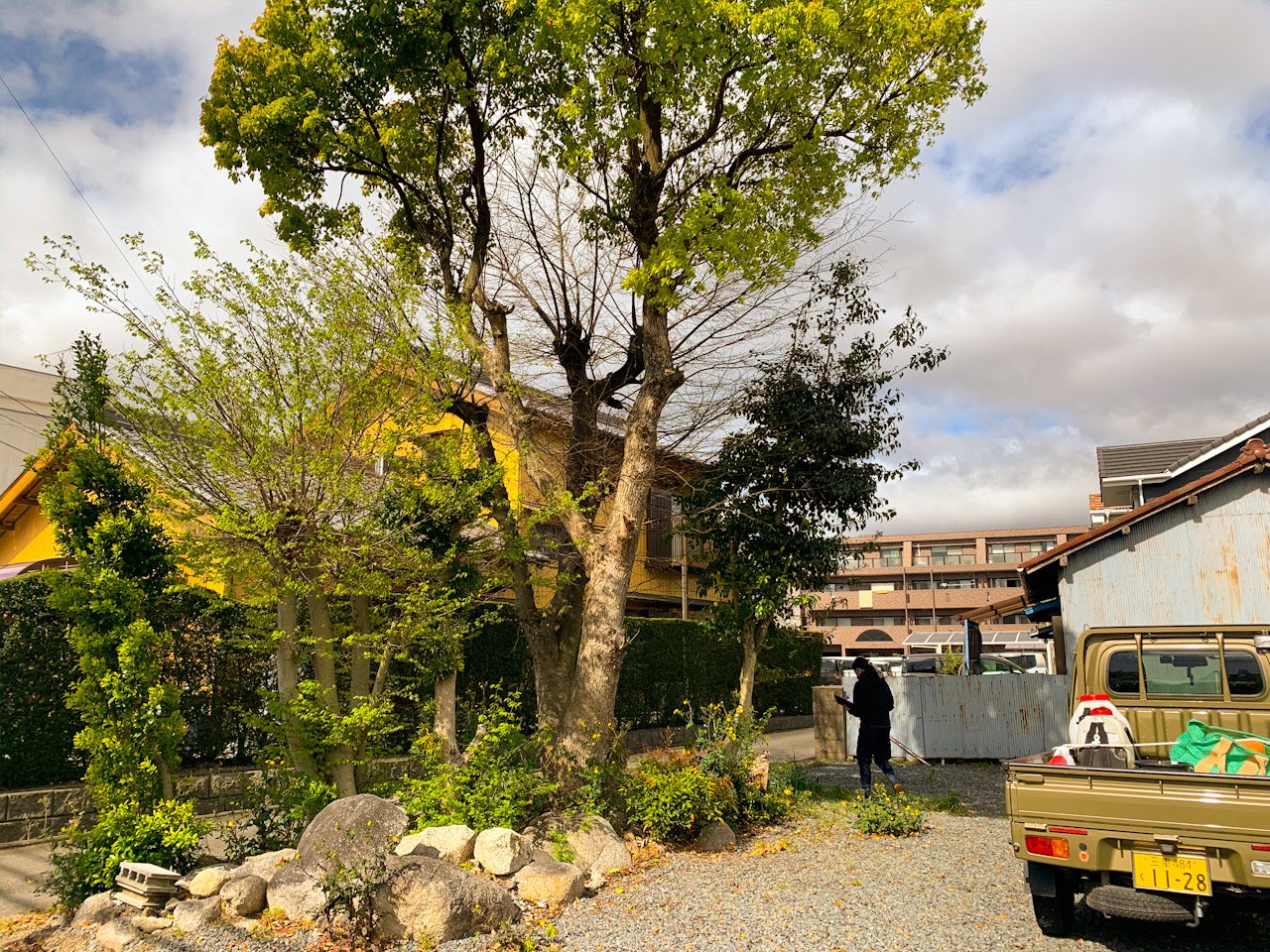 四日市市 セットバック 支障木 抜根前 剪定屋空