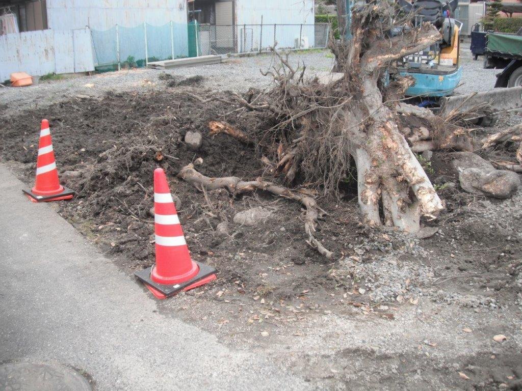 四日市市 抜根 掘り起こした根と重機 剪定屋空