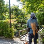 四日市市 尾上別荘 日本庭園 年間管理の全景と刈り込み生垣
