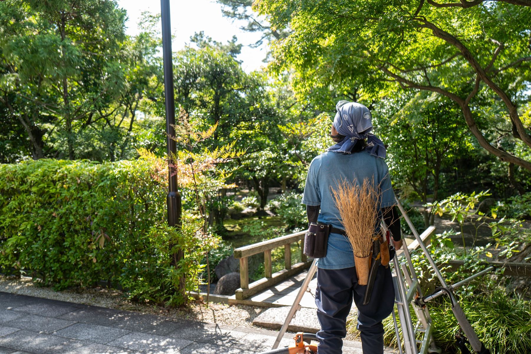 四日市市 尾上別荘 日本庭園 年間管理の全景と刈り込み生垣