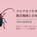 クビアカツヤカミキリの被害地域と分布 全国の最新状況